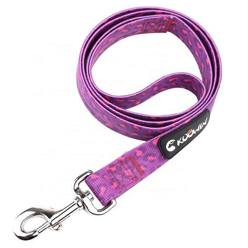 Dog Accessories